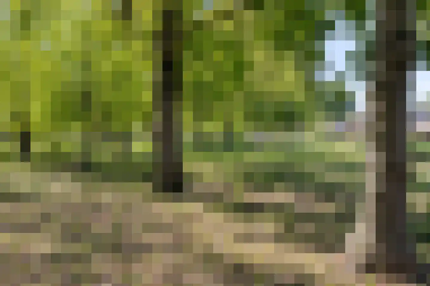 Berkenlaan 2 Oisterwijk thumbnail 45