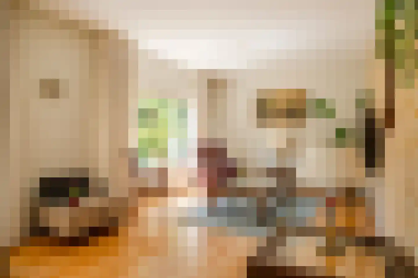 Berkenlaan 2 Wassenaar thumbnail 15