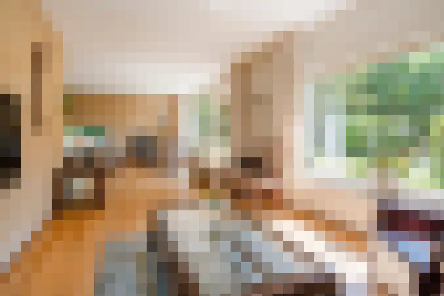 Berkenlaan 2 Wassenaar thumbnail 16