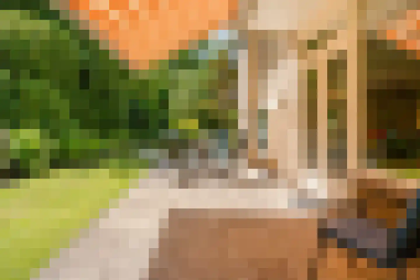 Berkenlaan 2 Wassenaar thumbnail 19