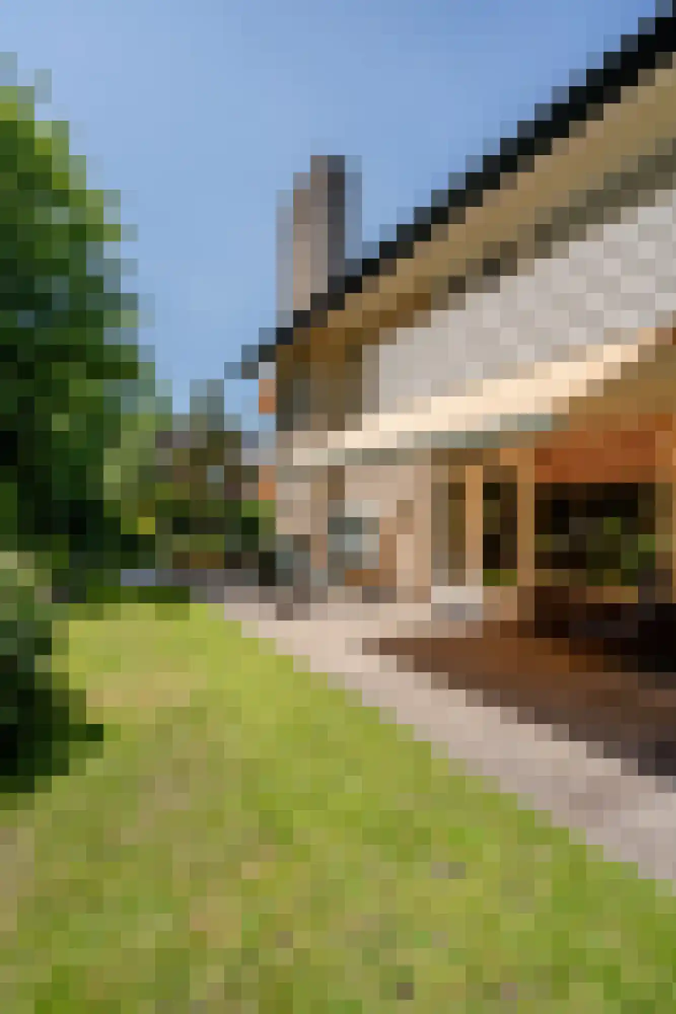 Berkenlaan 2 Wassenaar thumbnail 20