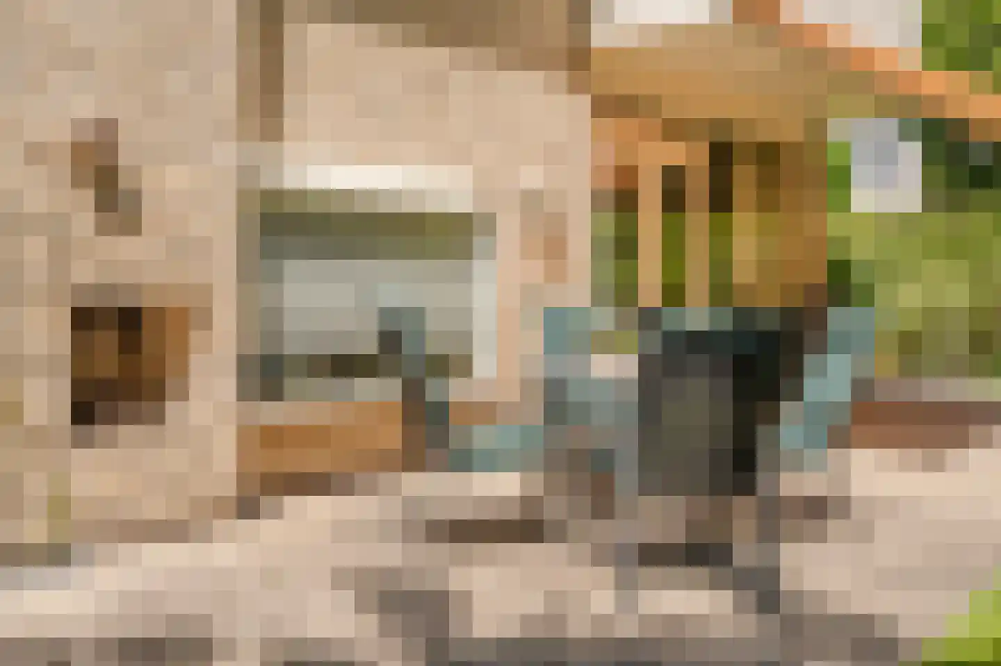 Berkenlaan 2 Wassenaar thumbnail 21