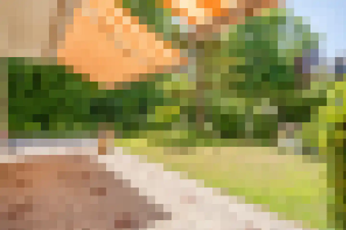 Berkenlaan 2 Wassenaar thumbnail 22