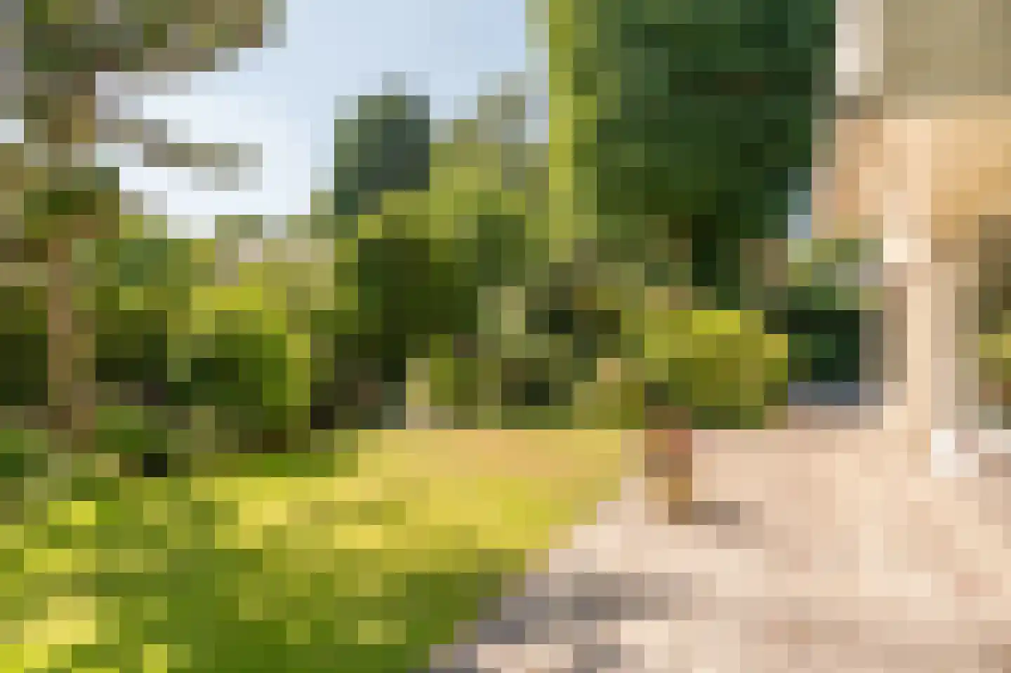 Berkenlaan 2 Wassenaar thumbnail 23