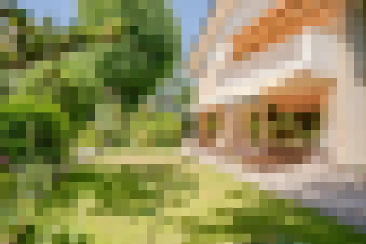 Berkenlaan 2 Wassenaar thumbnail 24