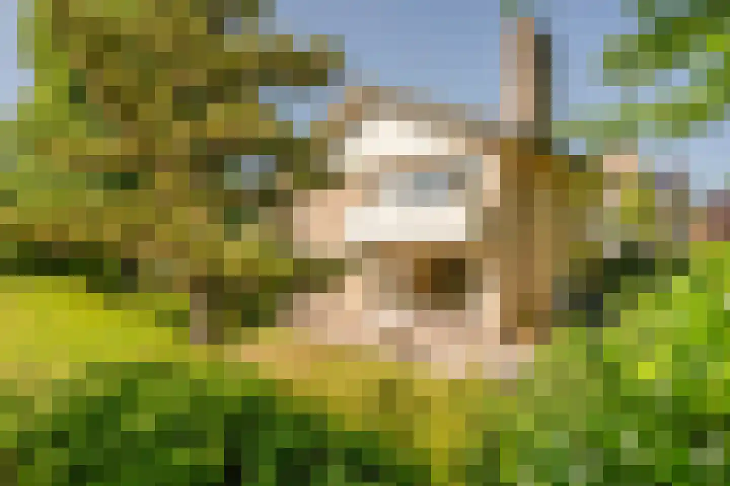 Berkenlaan 2 Wassenaar thumbnail 25
