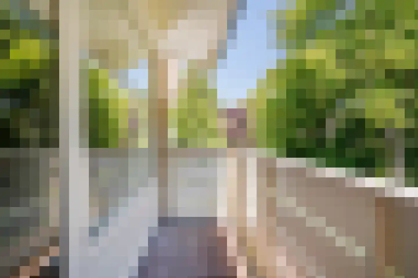 Berkenlaan 2 Wassenaar thumbnail 30