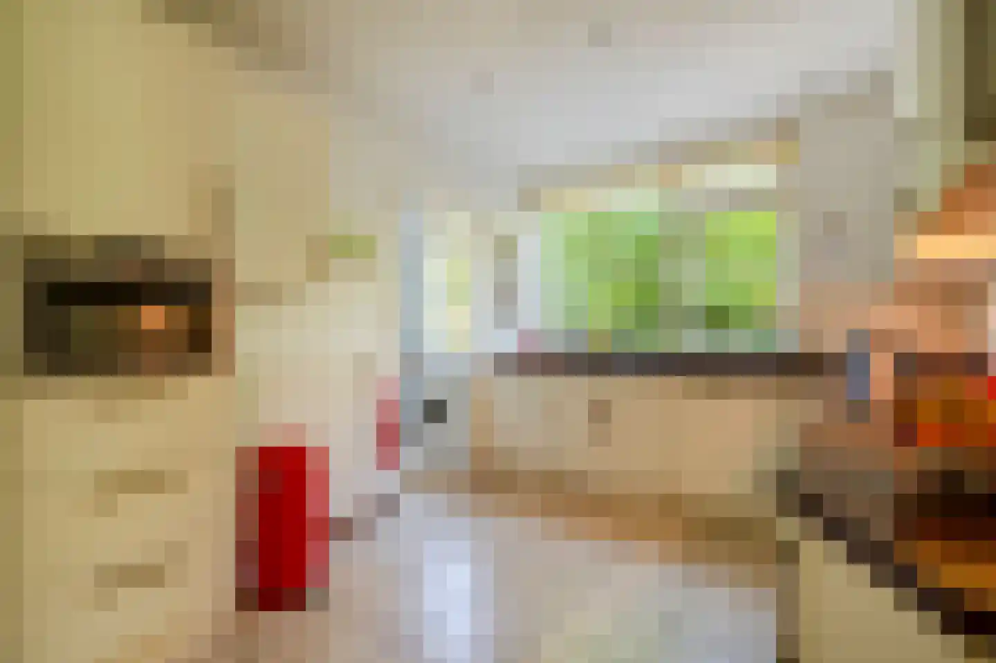 Berkenlaan 2 Wassenaar thumbnail 8