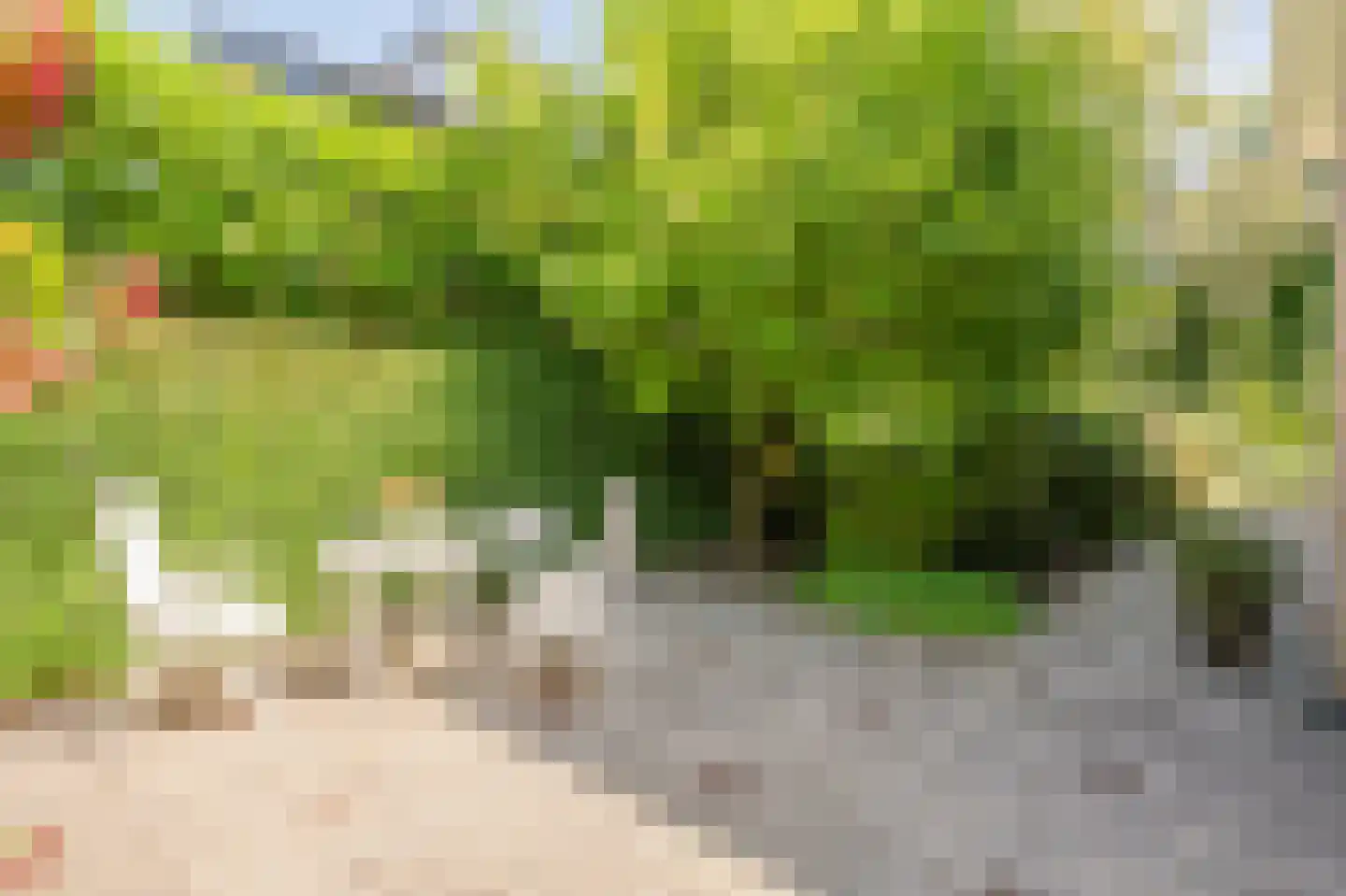 Berkenlaan 2 Wassenaar thumbnail 9