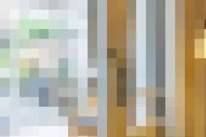 Berkenlaan 20 Ede thumbnail 12