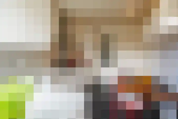 Berkenlaan 20 Ede thumbnail 18