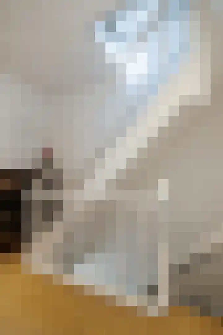 Berkenlaan 20 Ede thumbnail 19