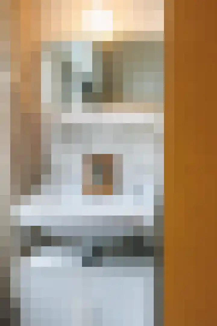 Berkenlaan 20 Ede thumbnail 26