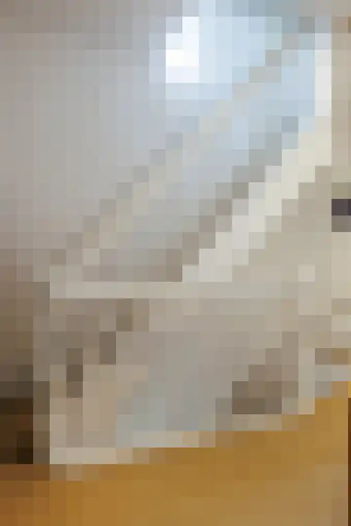Berkenlaan 20 Ede thumbnail 27
