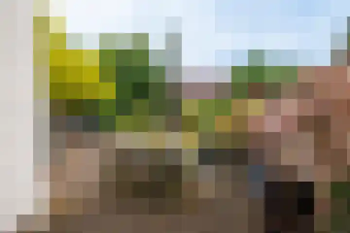 Berkenlaan 20 Ede thumbnail 30