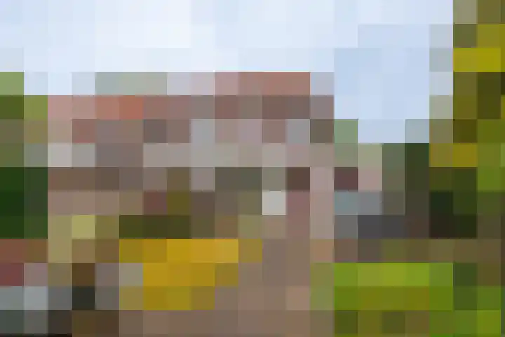 Berkenlaan 20 Ede thumbnail 31