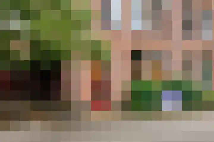 Berkenlaan 20 Ede thumbnail 5