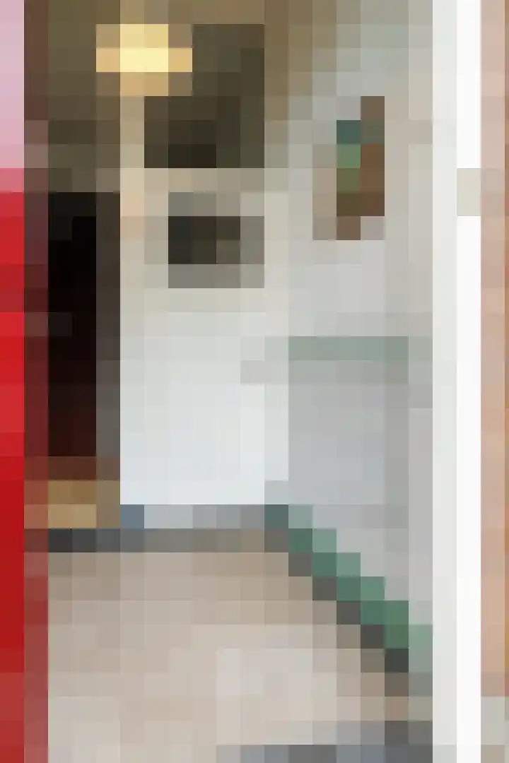 Berkenlaan 20 Ede thumbnail 6