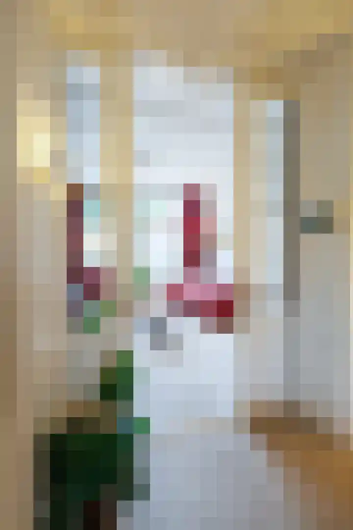 Berkenlaan 20 Ede thumbnail 9