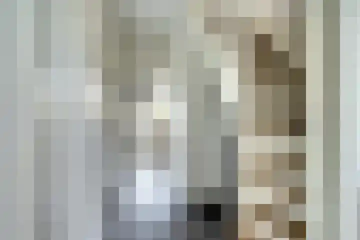 Berkenlaan 20 Enkhuizen thumbnail 16