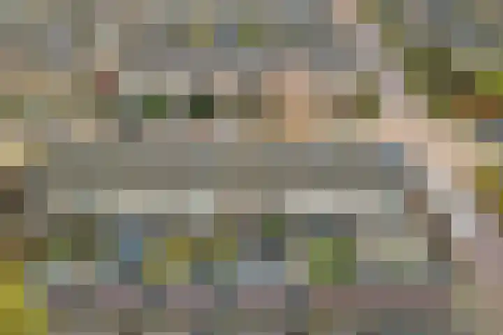 Berkenlaan 20 Enkhuizen thumbnail 31