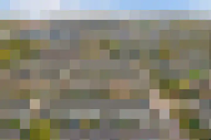 Berkenlaan 20 Enkhuizen thumbnail 32