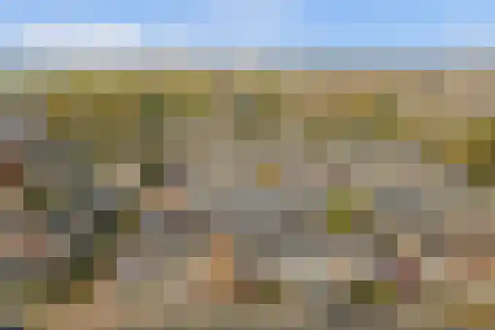 Berkenlaan 20 Enkhuizen thumbnail 4
