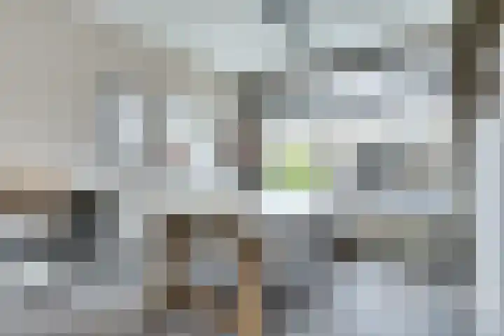 Berkenlaan 20 Enkhuizen thumbnail 8