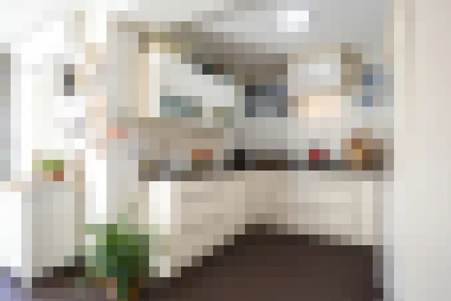 Berkenlaan 20 Geleen thumbnail 10