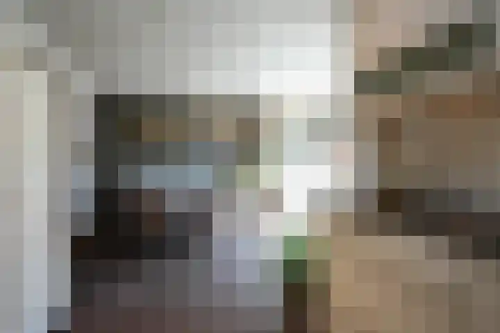 Berkenlaan 20 Geleen thumbnail 11
