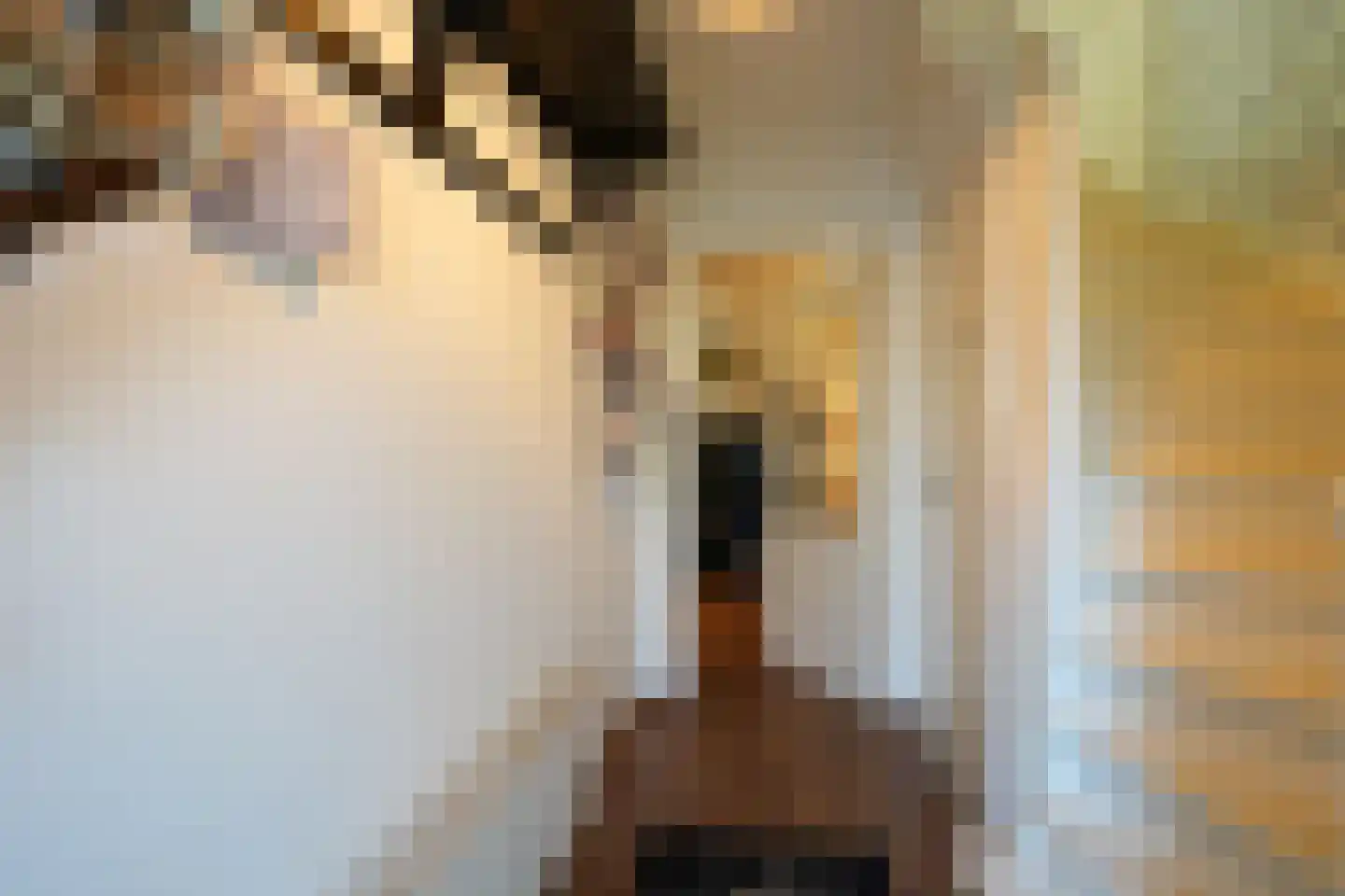 Berkenlaan 20 Geleen thumbnail 15