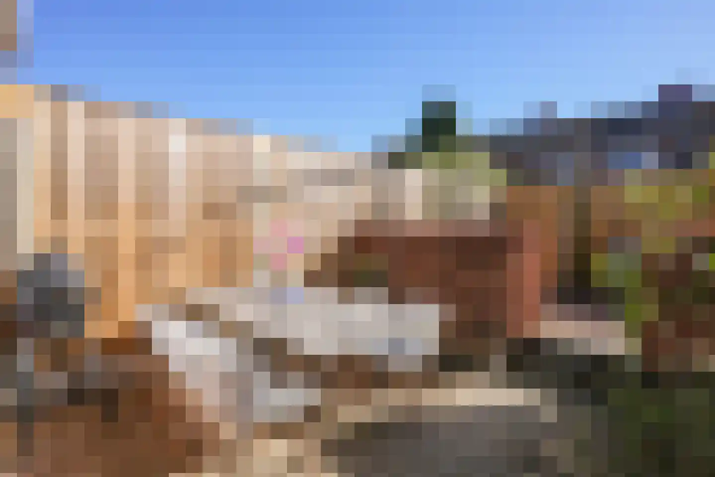 Berkenlaan 20 Geleen thumbnail 23