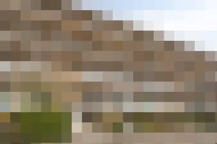 Berkenlaan 20 Geleen thumbnail 29