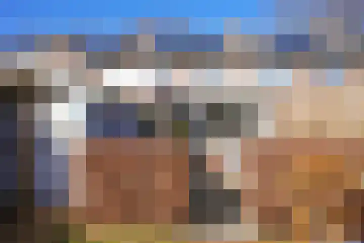Berkenlaan 20 Geleen thumbnail 29
