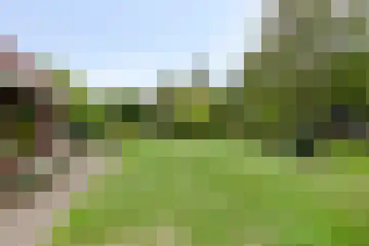 Berkenlaan 20 Geleen thumbnail 5