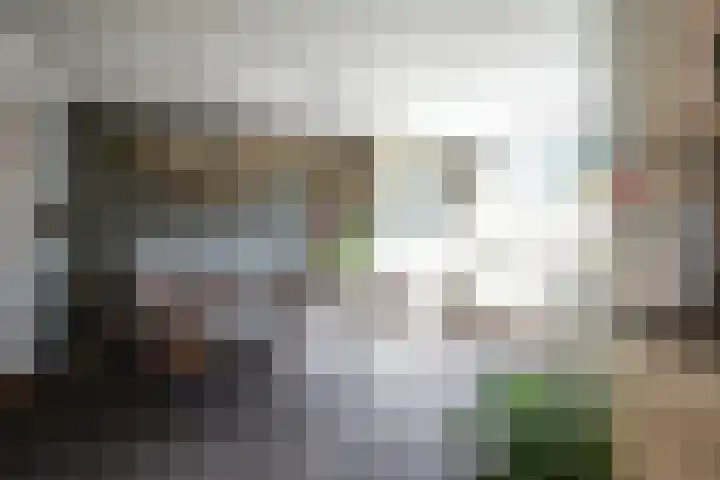 Berkenlaan 20 Geleen thumbnail 7