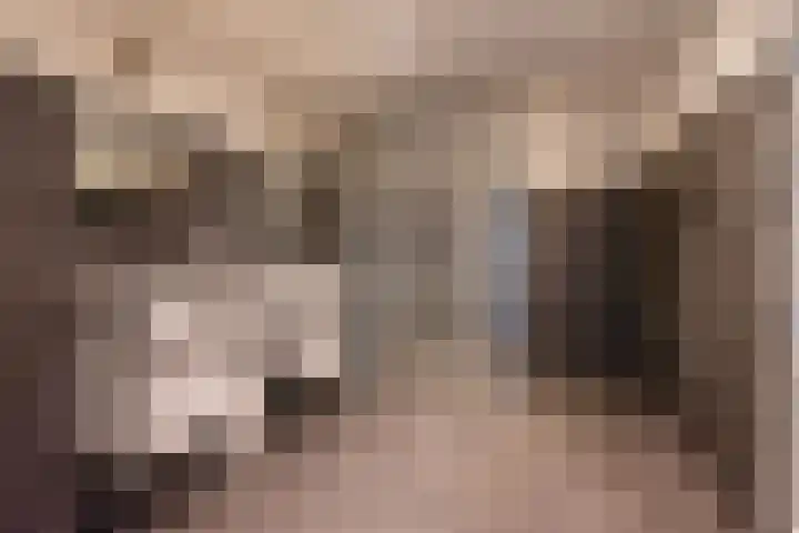 Berkenlaan 20 Geleen thumbnail 8