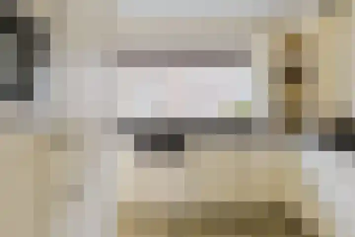 Berkenlaan 20 Nieuwkoop thumbnail 11