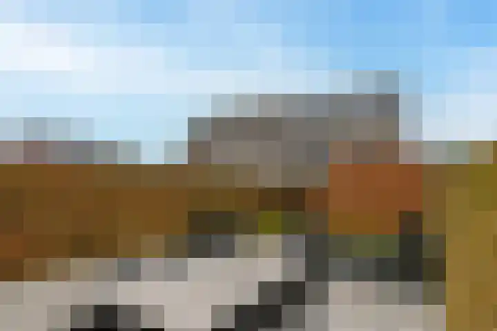 Berkenlaan 20 Nieuwkoop thumbnail 16