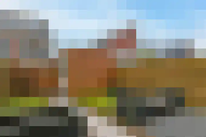 Berkenlaan 20 Nieuwkoop thumbnail 17