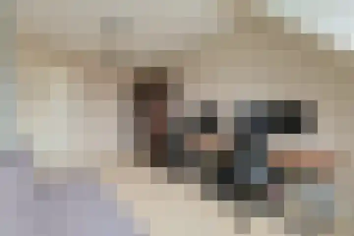 Berkenlaan 20 Nieuwkoop thumbnail 24