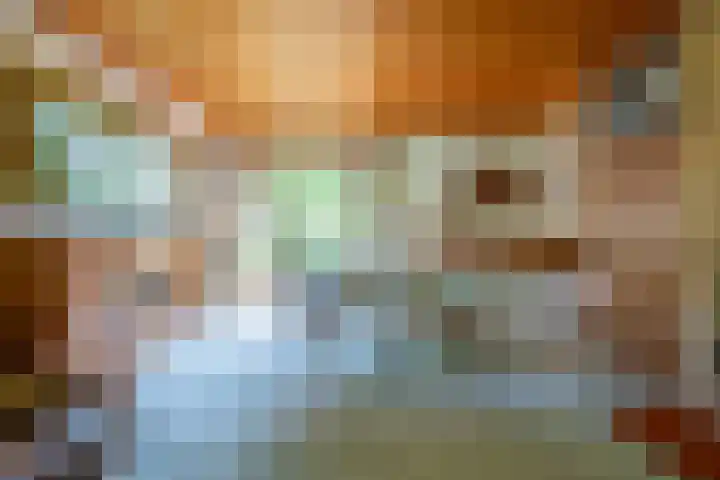 Berkenlaan 20 Waalwijk thumbnail 13