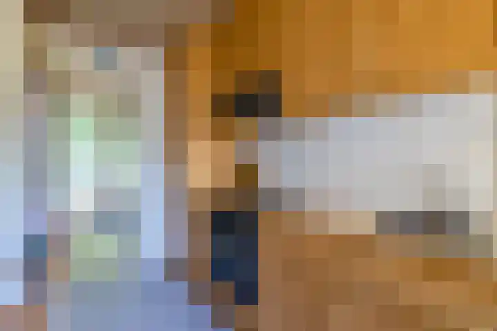 Berkenlaan 20 Waalwijk thumbnail 18