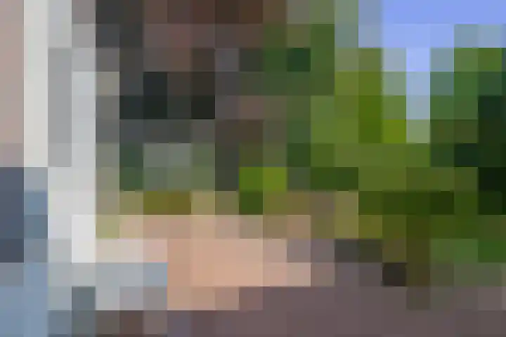 Berkenlaan 20 Waalwijk thumbnail 20
