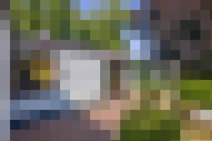 Berkenlaan 20 Waalwijk thumbnail 22