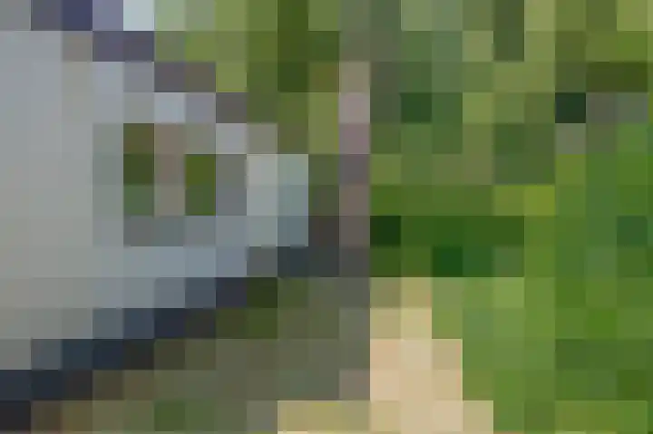 Berkenlaan 20 Waalwijk thumbnail 25