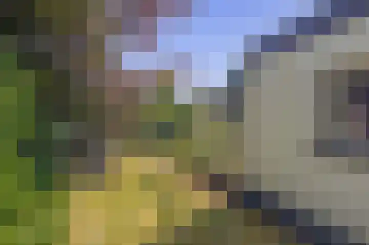 Berkenlaan 20 Waalwijk thumbnail 26