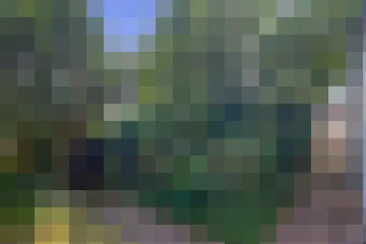 Berkenlaan 20 Waalwijk thumbnail 27