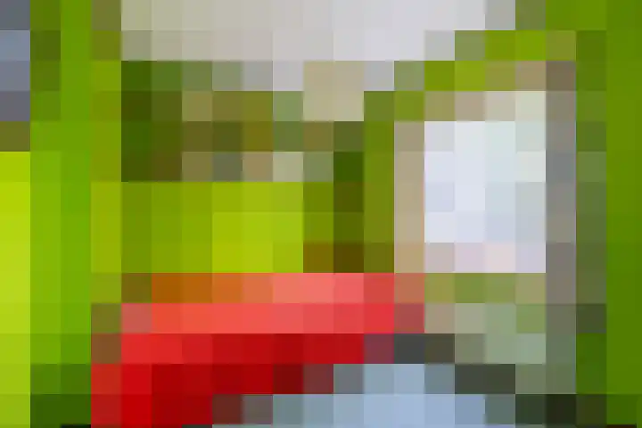 Berkenlaan 20 Waalwijk thumbnail 36