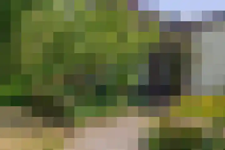 Berkenlaan 20 Waalwijk thumbnail 5